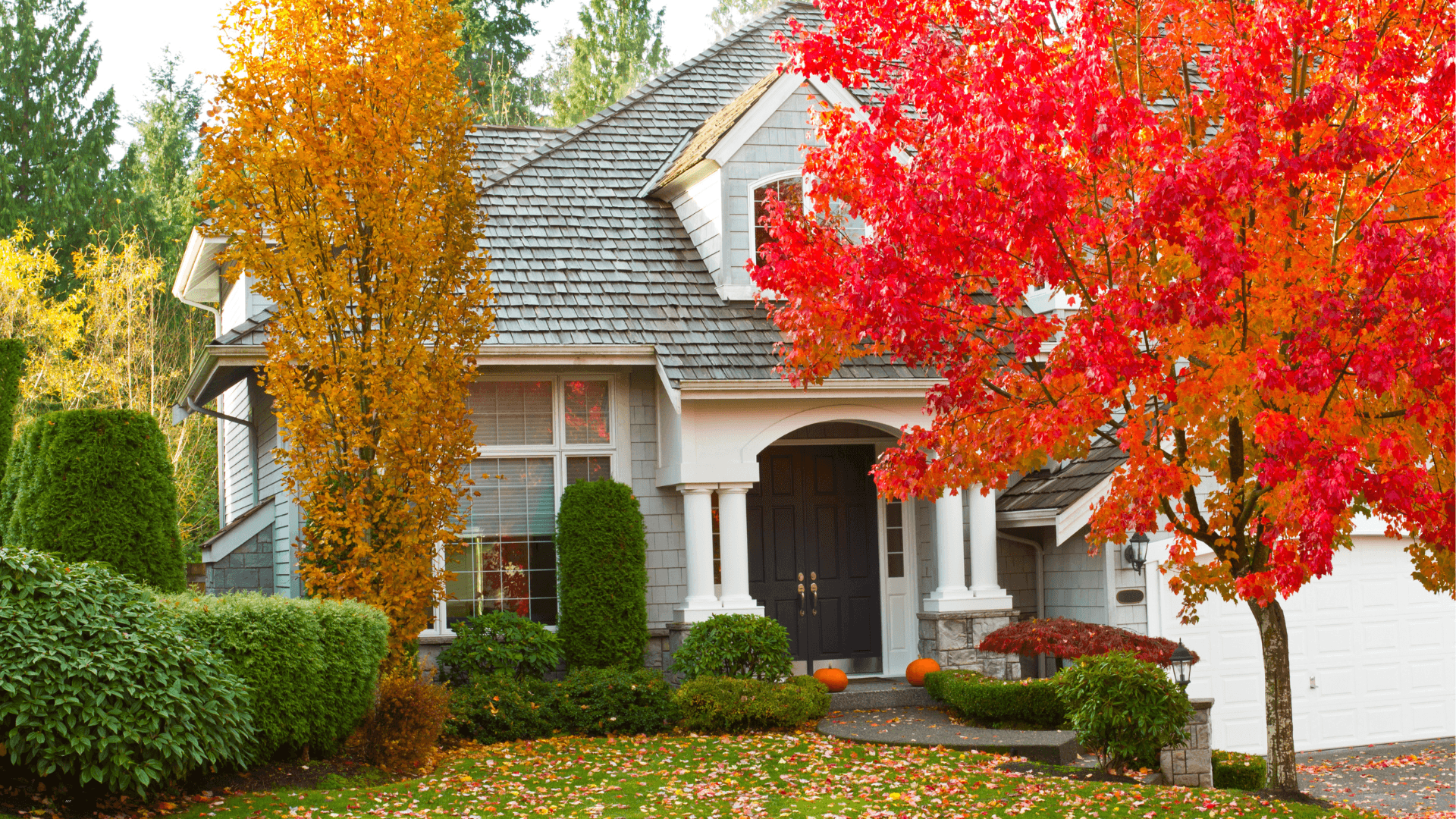 House with lots of fall trees in the front yard 